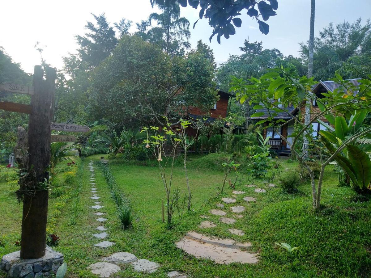 Canyon Jungle Stay Bukittinggi Esterno foto