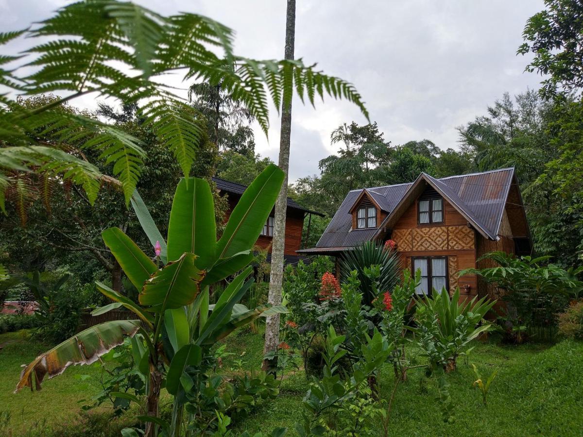 Canyon Jungle Stay Bukittinggi Esterno foto