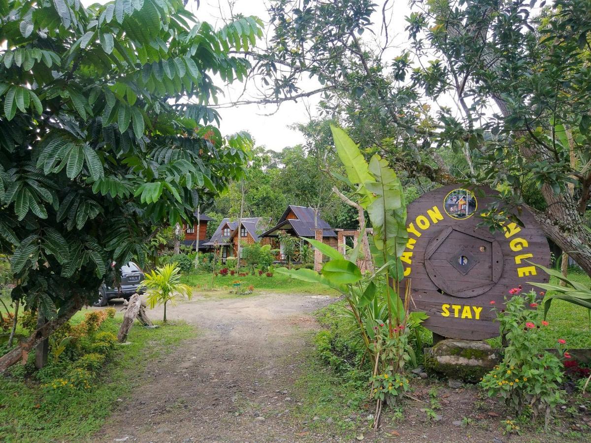 Canyon Jungle Stay Bukittinggi Esterno foto