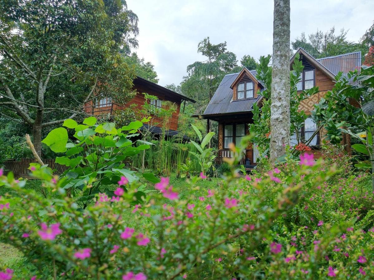 Canyon Jungle Stay Bukittinggi Esterno foto