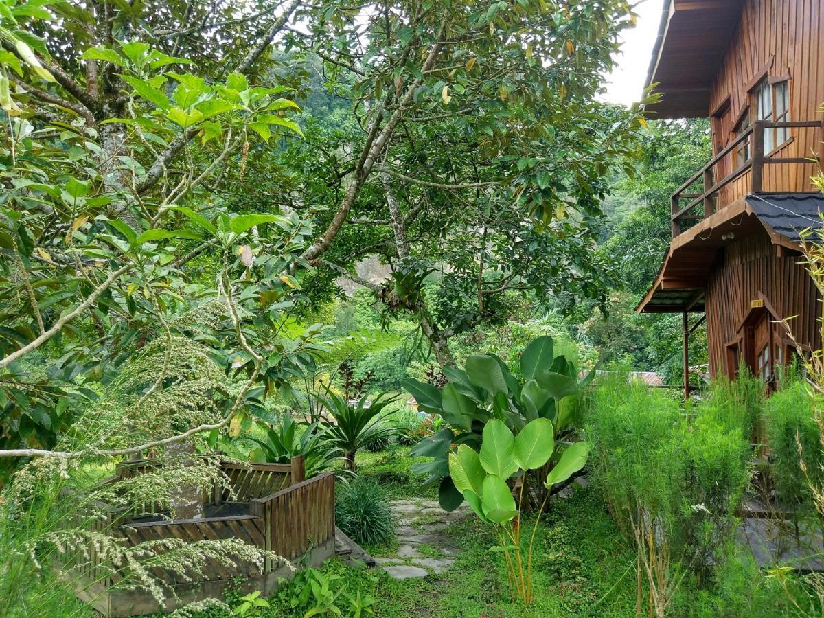 Canyon Jungle Stay Bukittinggi Esterno foto