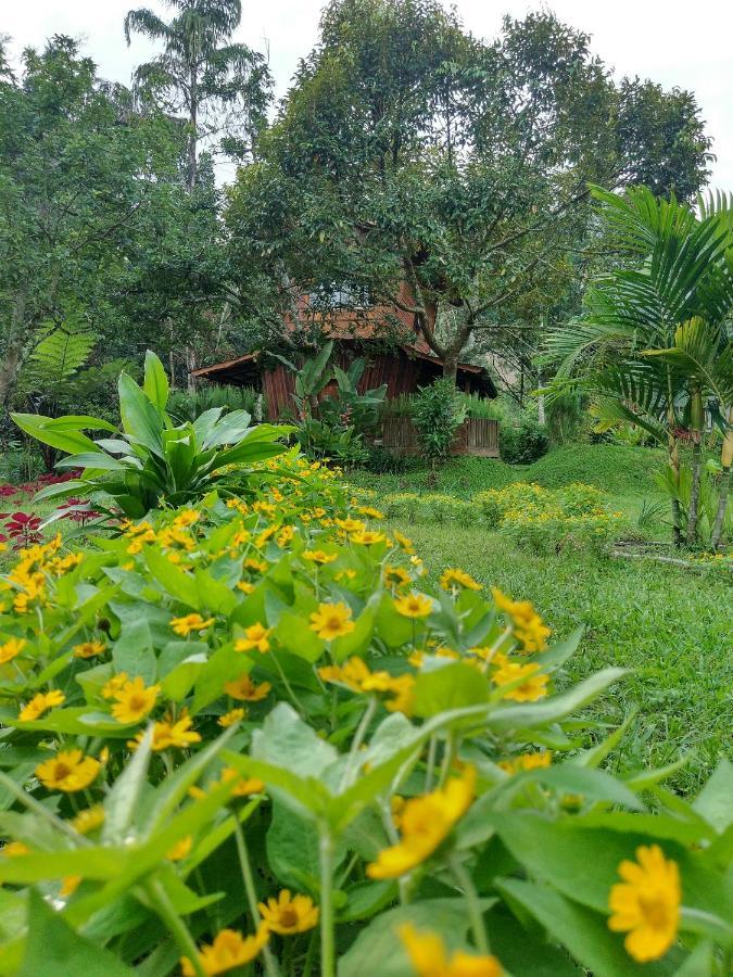 Canyon Jungle Stay Bukittinggi Esterno foto
