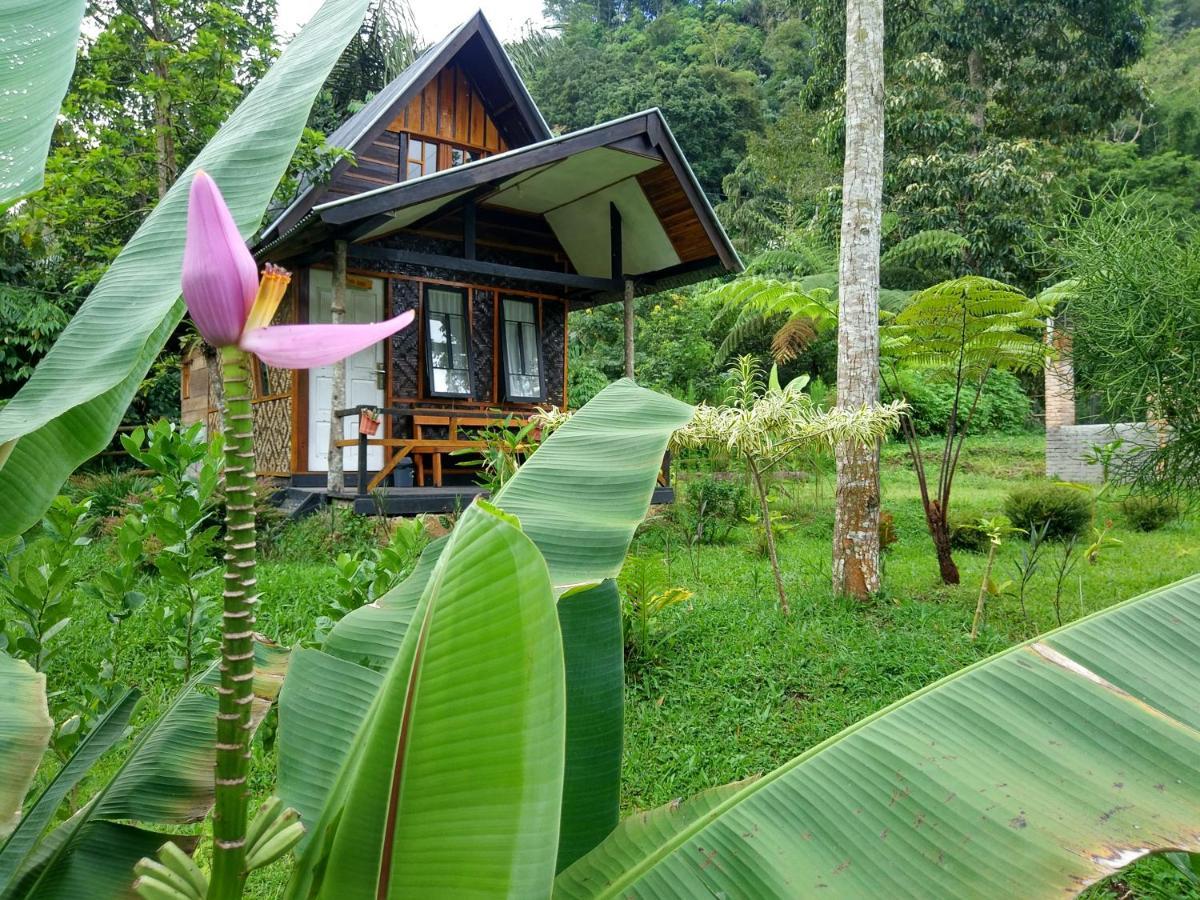 Canyon Jungle Stay Bukittinggi Esterno foto
