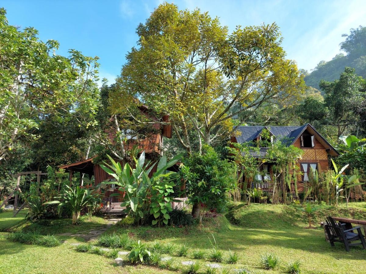 Canyon Jungle Stay Bukittinggi Esterno foto