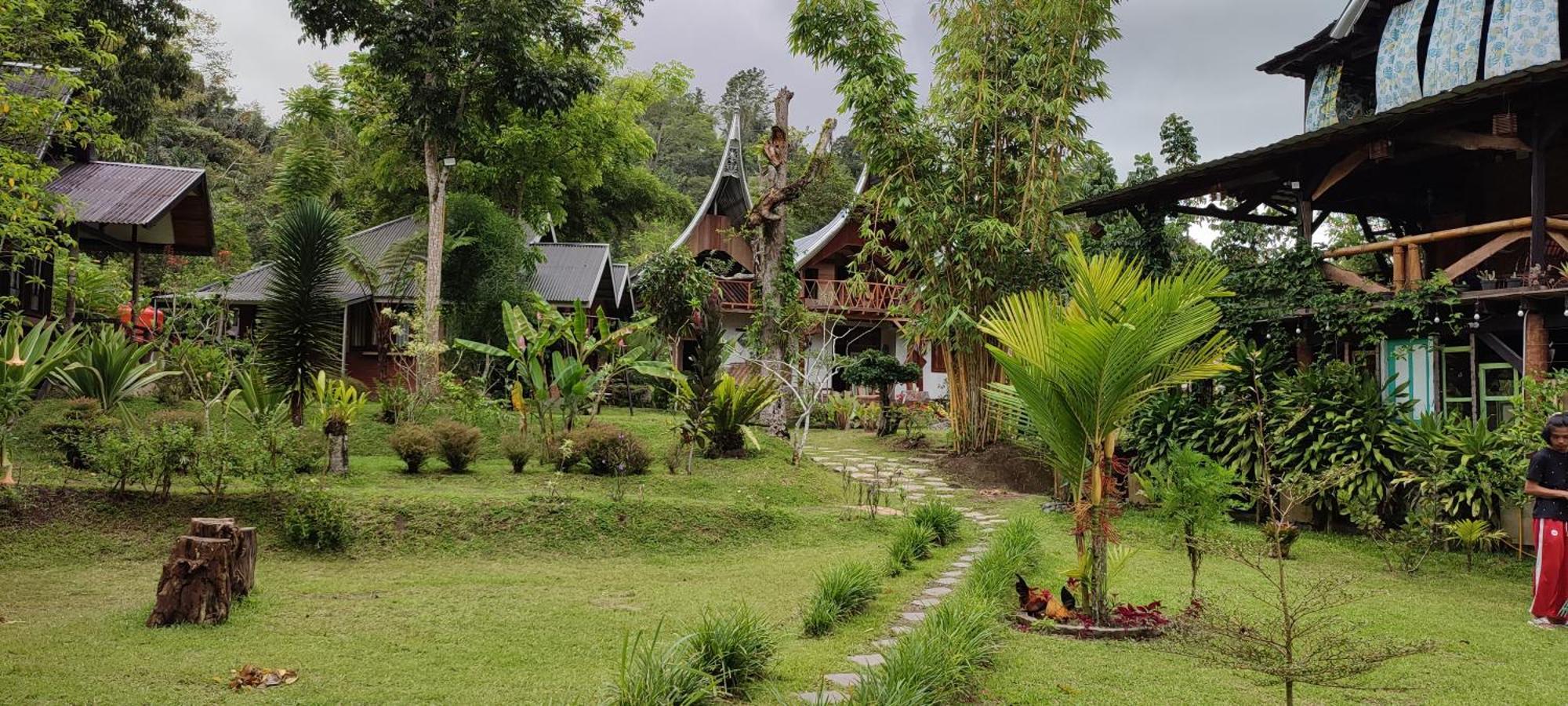 Canyon Jungle Stay Bukittinggi Esterno foto