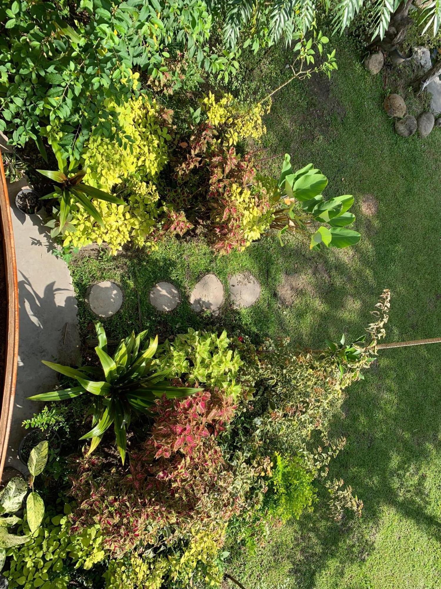 Canyon Jungle Stay Bukittinggi Esterno foto